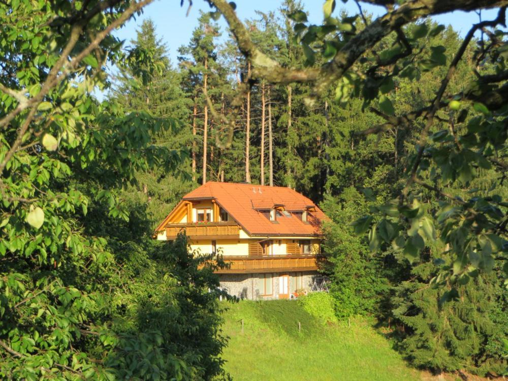 Country House Apat Sostanj Exterior foto
