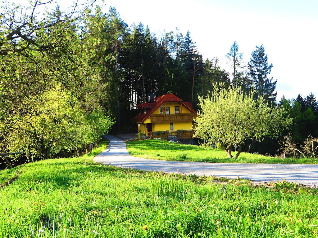 Country House Apat Sostanj Exterior foto